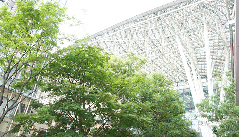 糖果派对app中国 最初に名前が出た時点では「えー、まっさかあ」という反応、それからどうやら本当らしいということになって、「現役引退してからコーチ経験もなしにこんなに長いこと経ってる人を!?」と驚き呆れる声多数